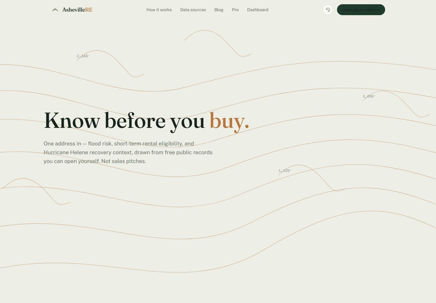 AshevilleRE website preview